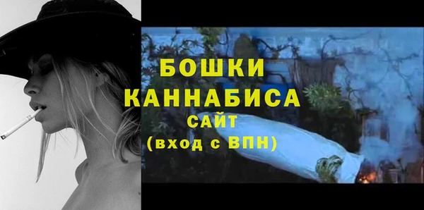 прущий лед Дмитриев