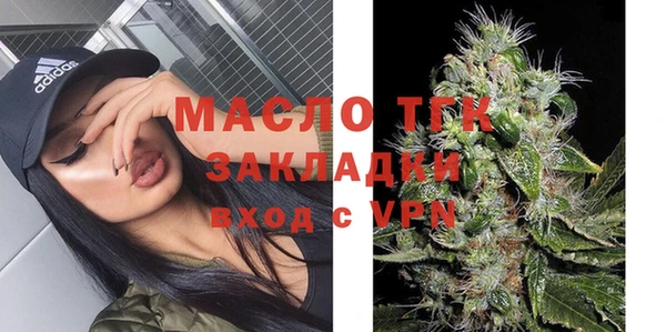 прущий лед Дмитриев