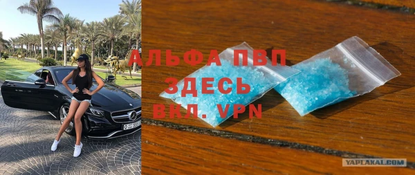 прущий лед Дмитриев