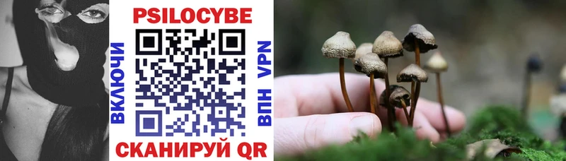 Купить Цивильск Галлюциногенные грибы Cubensis